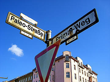 Die Paleo-Ernährung ist nur der Anfang Paleo-Strassenschilder