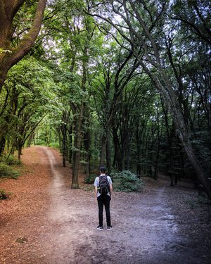 Ein Mann steht im Wald