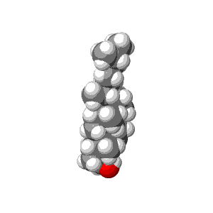 Ein Molekül Cholesterin, animiert. 