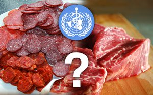 Die WHO und die Fleischfrage