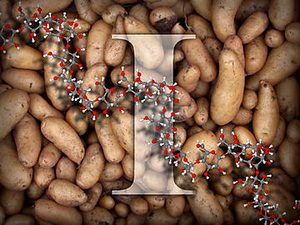 Kartoffeln und ein Stärke-Molekül, Teil I.